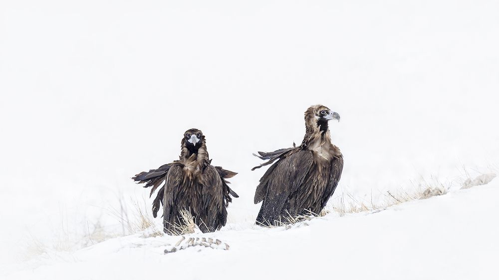 Photograph by Petya Petkova