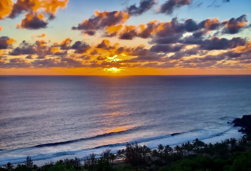 Photograph by Christine ECHEVET-ADAM de VILLIERS