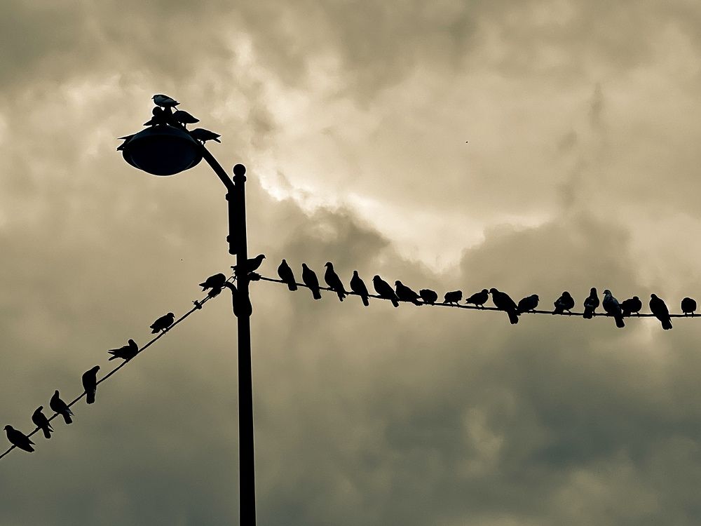 Photograph by Christine ECHEVET-ADAM de VILLIERS