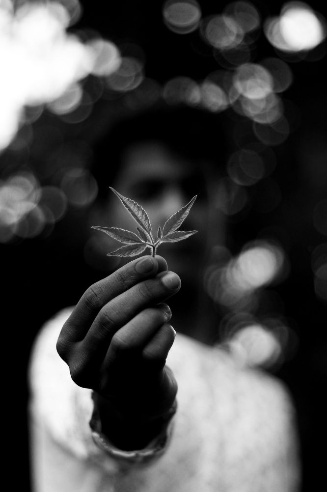 Photograph by Rijas Galleria