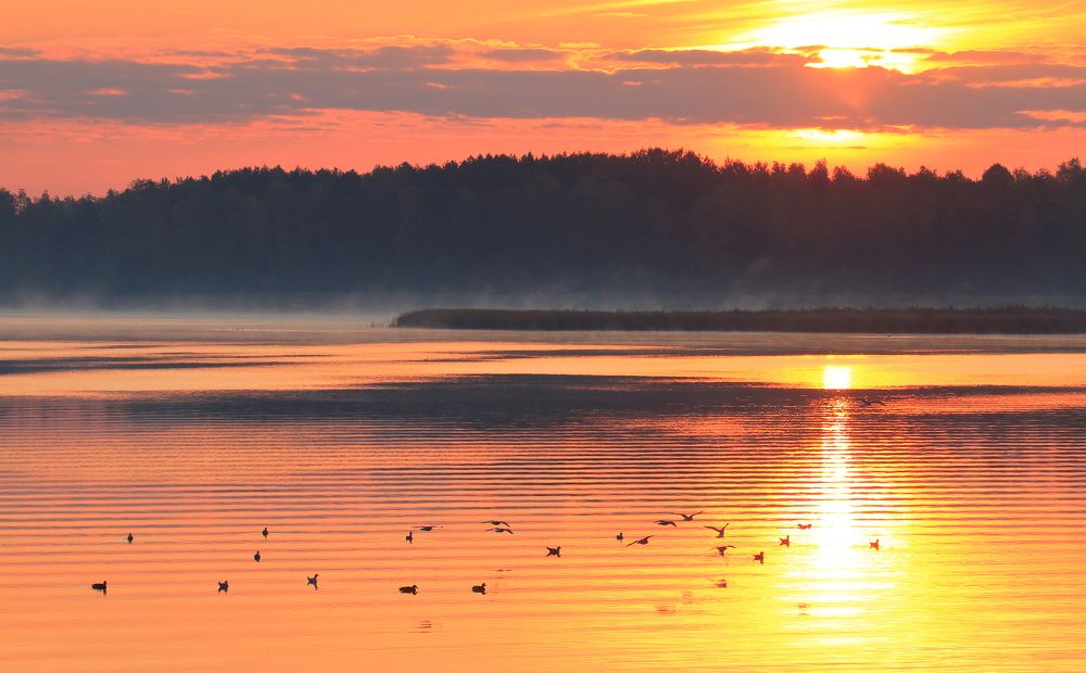 Рассвет на Солигорском вдхр.