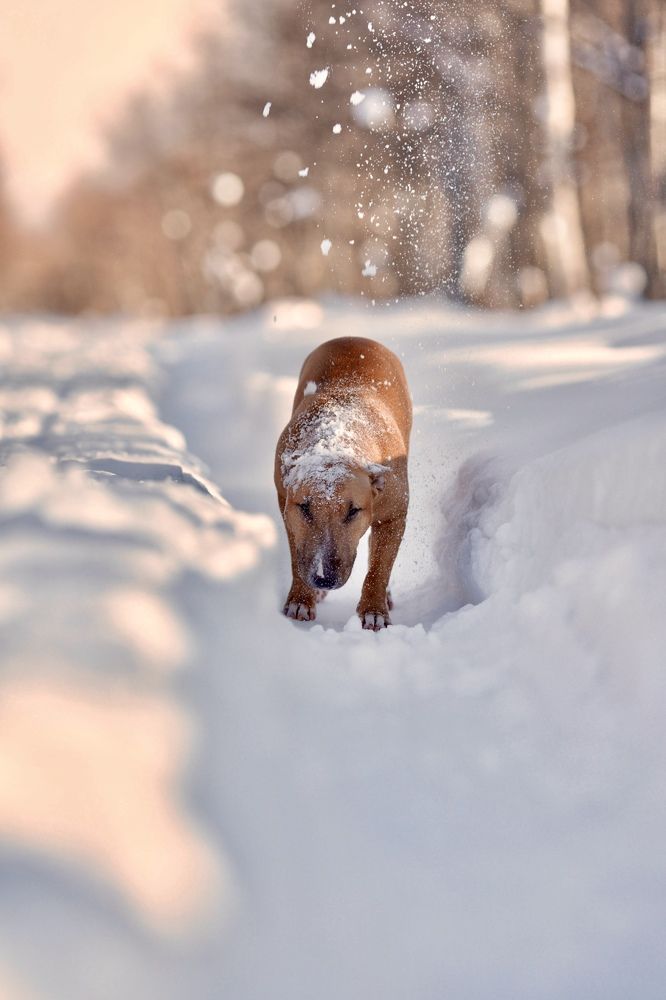 Photograph by Ольга Коцюрбий