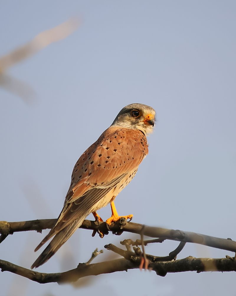 Photograph by Анжела