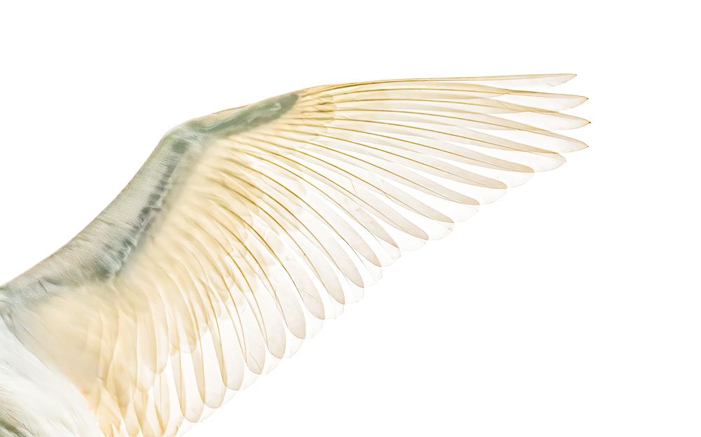 Фотография автора Paul Manjooran