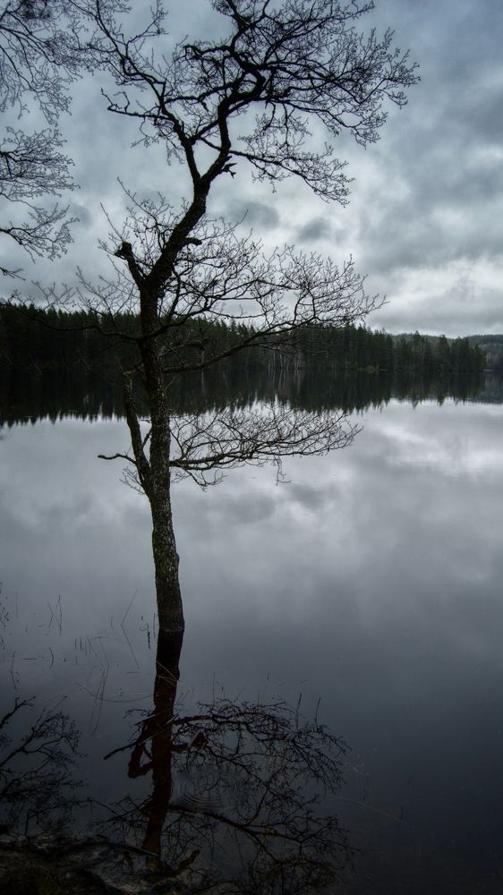 Photograph by Ivan Kotenko