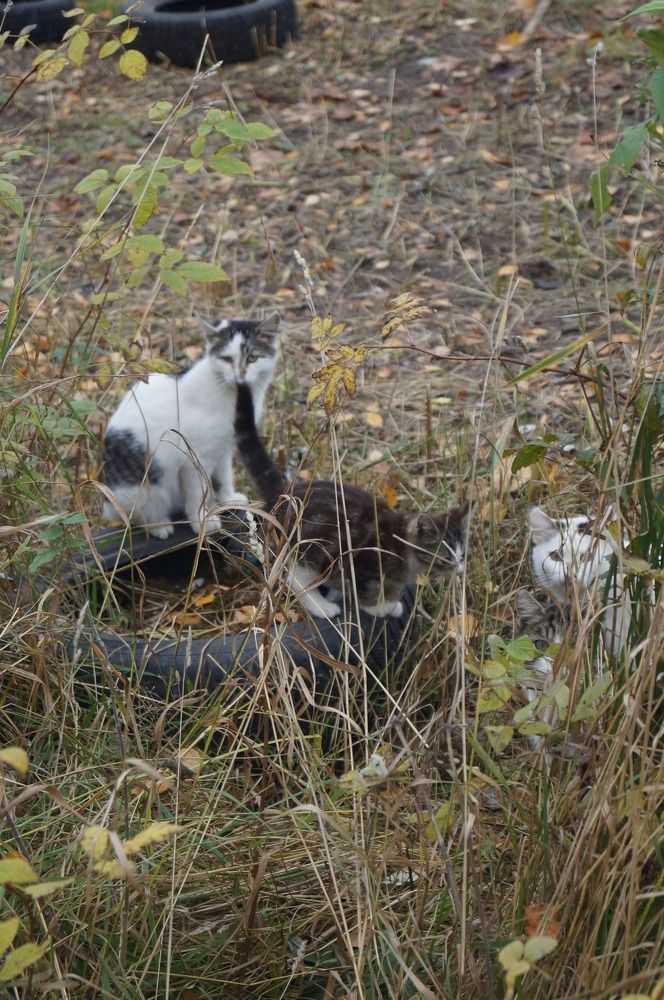 Photograph by Злата Иванченко