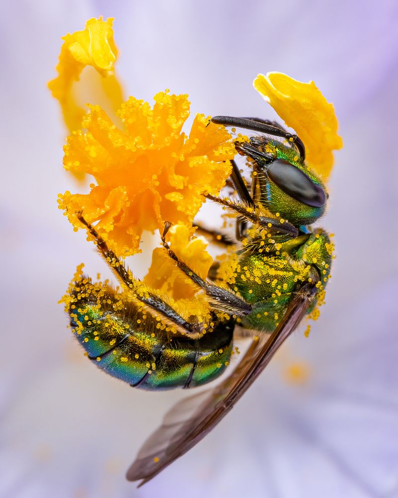 Photograph by Benjamin Salb