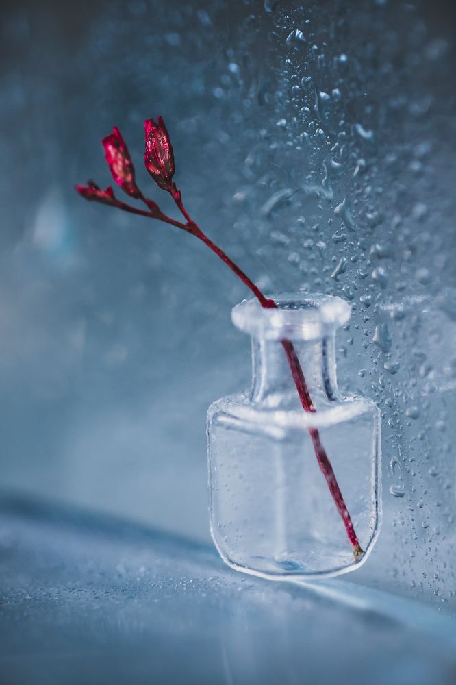 Photograph by Сергей Романченко