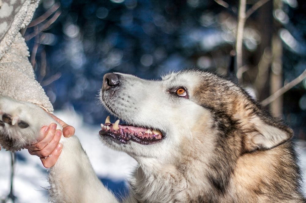 Photograph by Надежда Иголкина