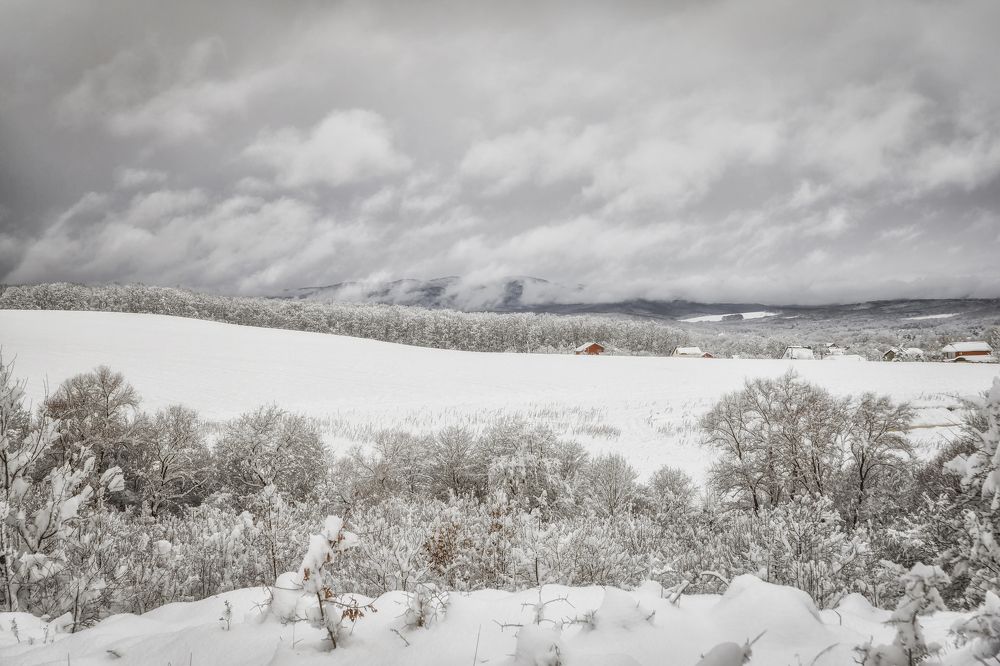 Кубанская зима