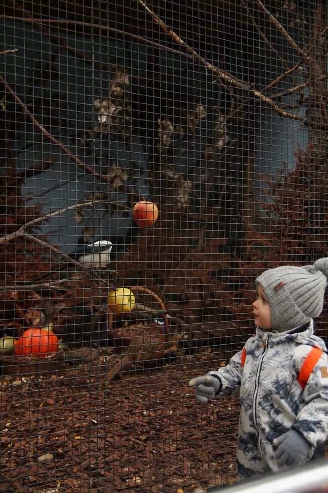 Photograph by Татьяна Никифорова