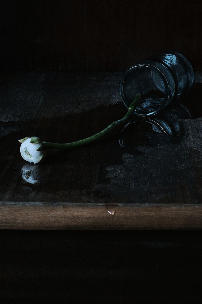 Photograph by Олеся Неволина-Лопатина