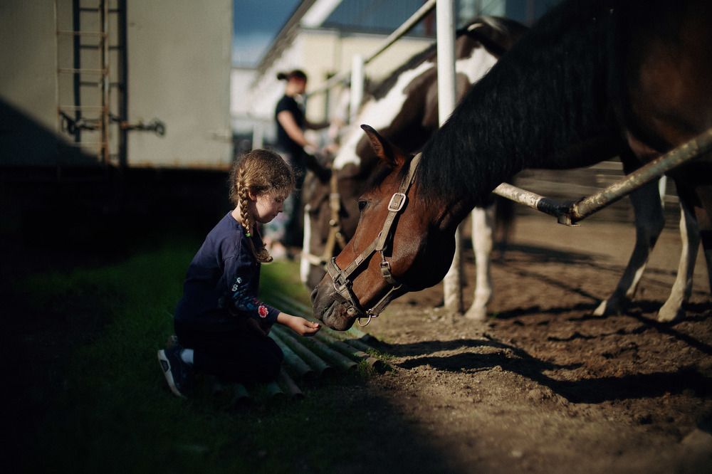 Photograph by Яна Овчинникова