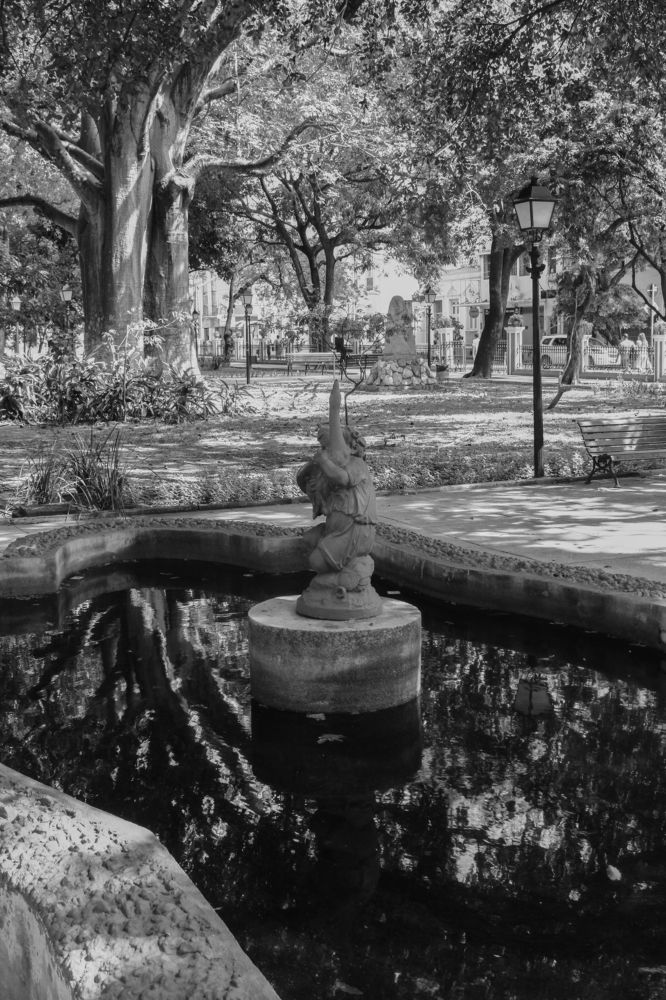 Photograph by José Flávio Cavalcante