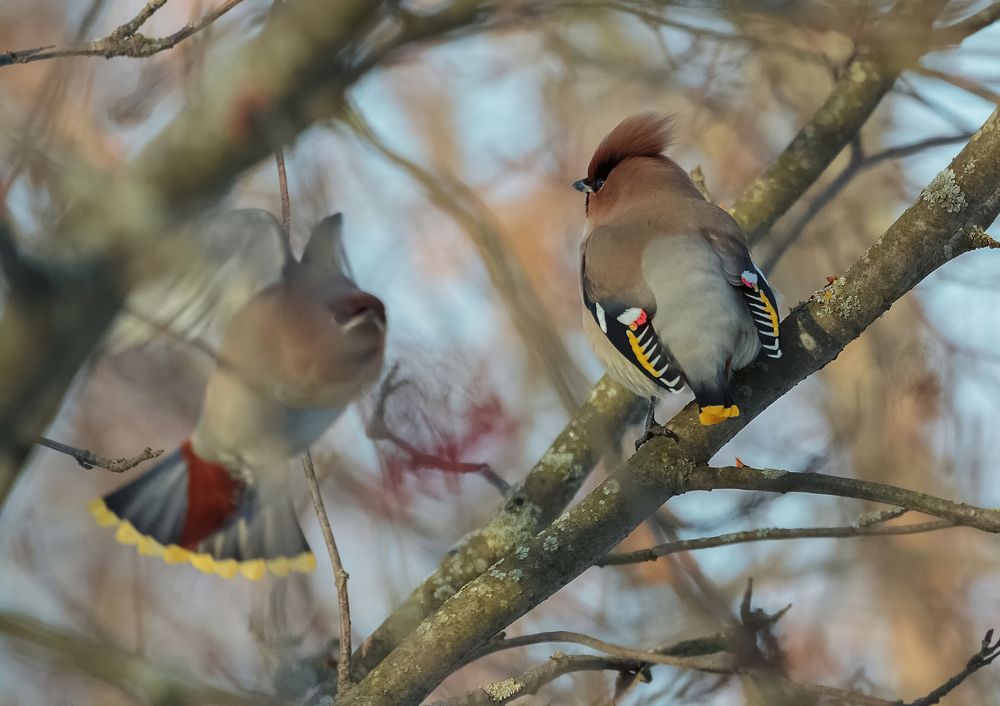 Photograph by Светлана Холодняк