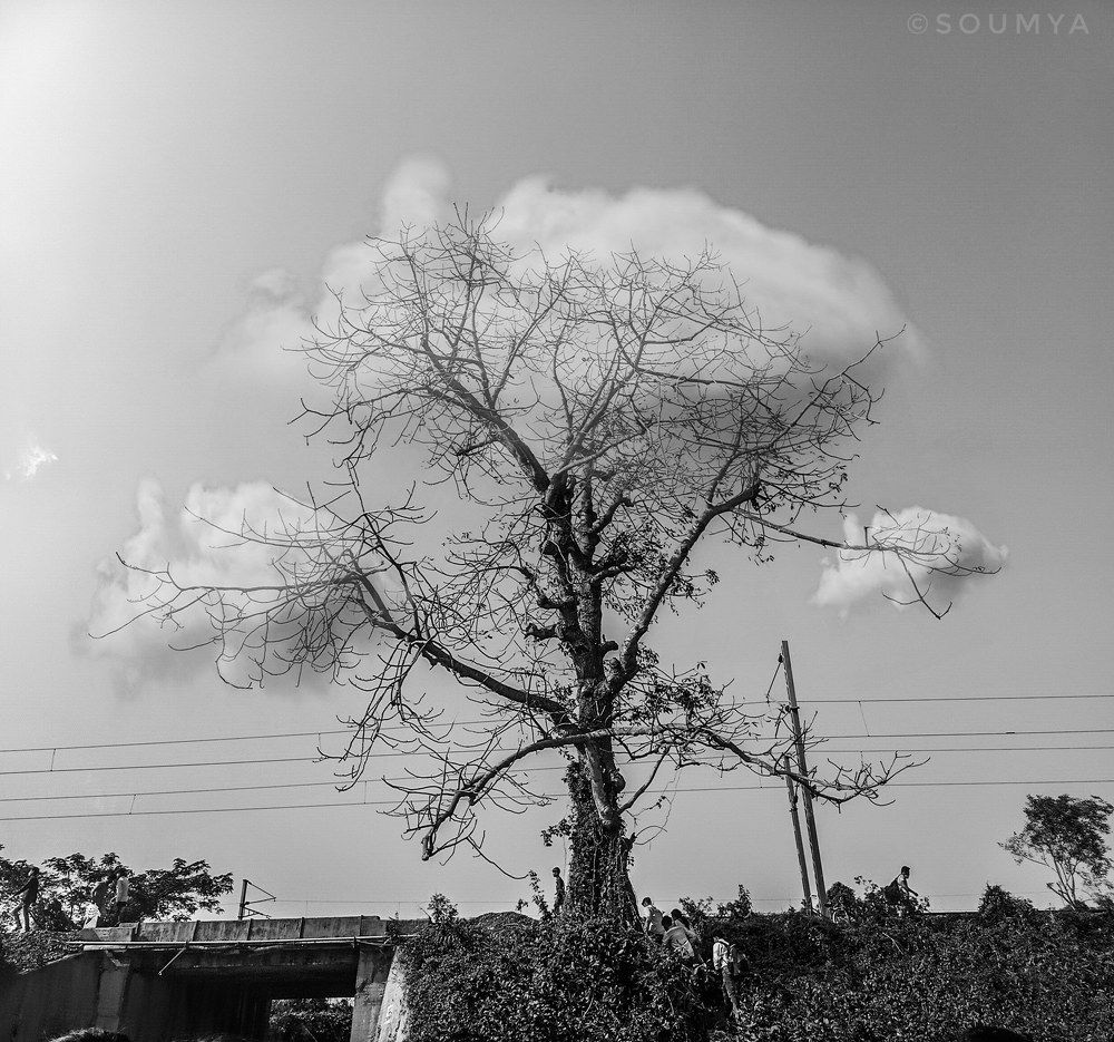 Photograph by Soumyadeep mondal