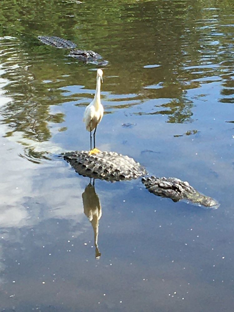 Photograph by Lyndsye