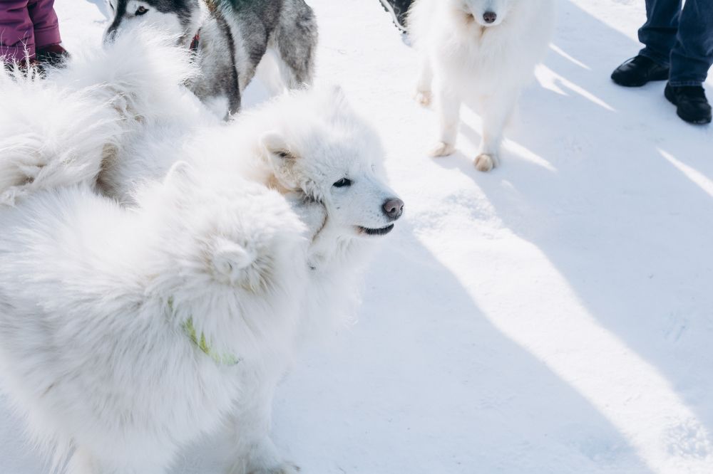 Photograph by Артём