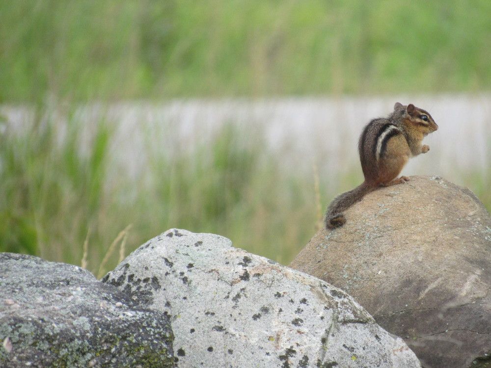 Photograph by Lyndsye