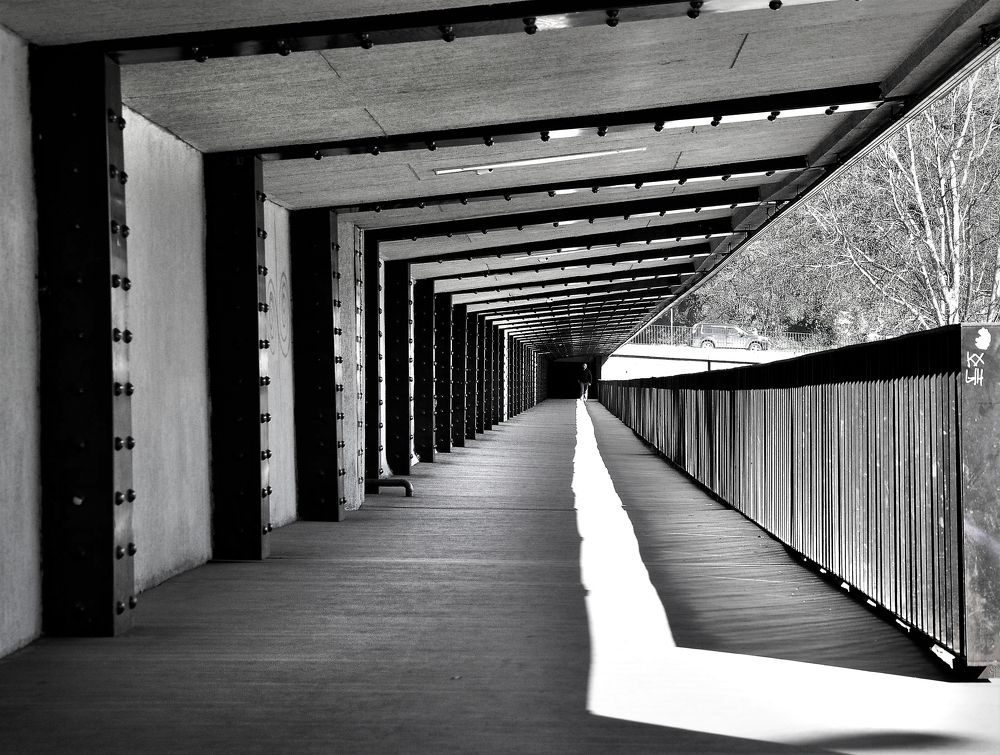 Photograph by Violeta