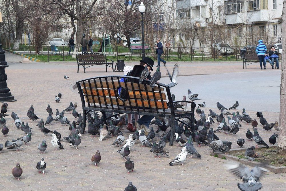 Photograph by Светлана