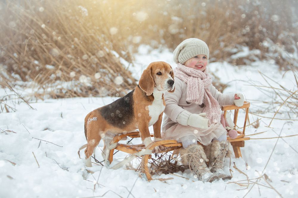 Фотография автора Katerina Mumzhinskaya