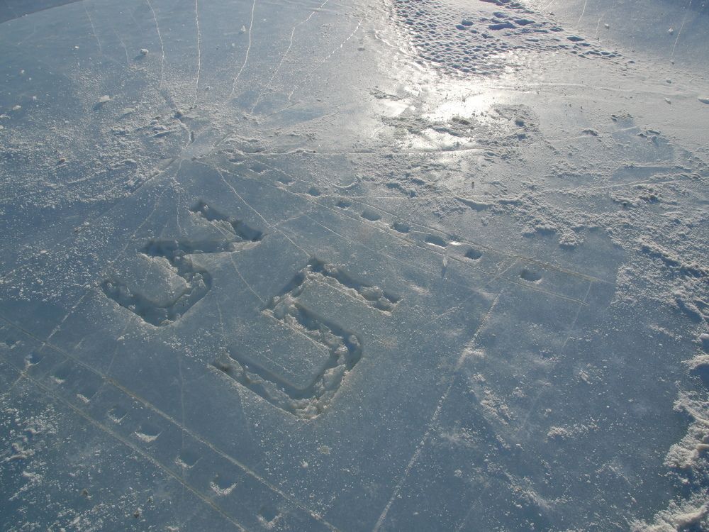 Photograph by Dmitriy Marchenko