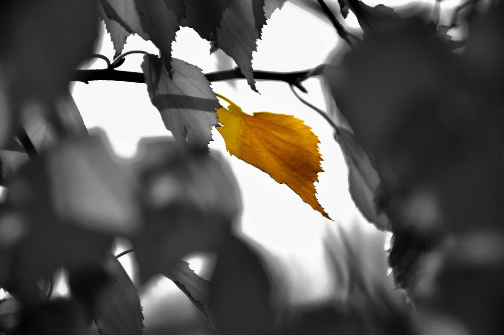 Фотография автора Виктор Журбенков