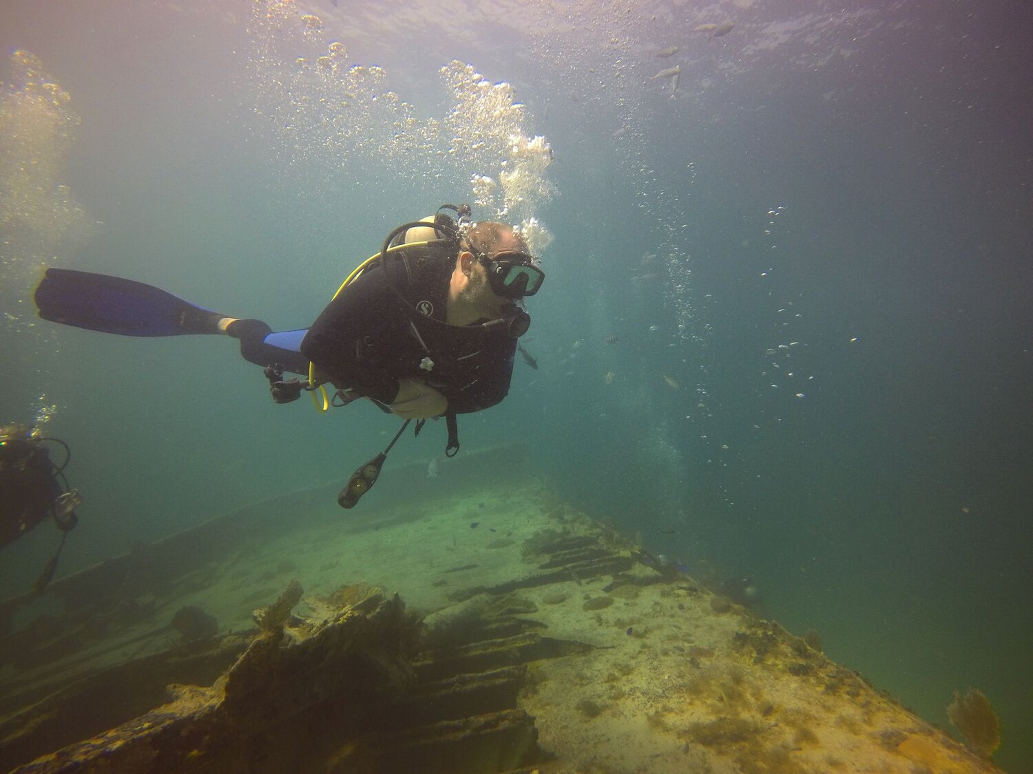 Photo #7304787