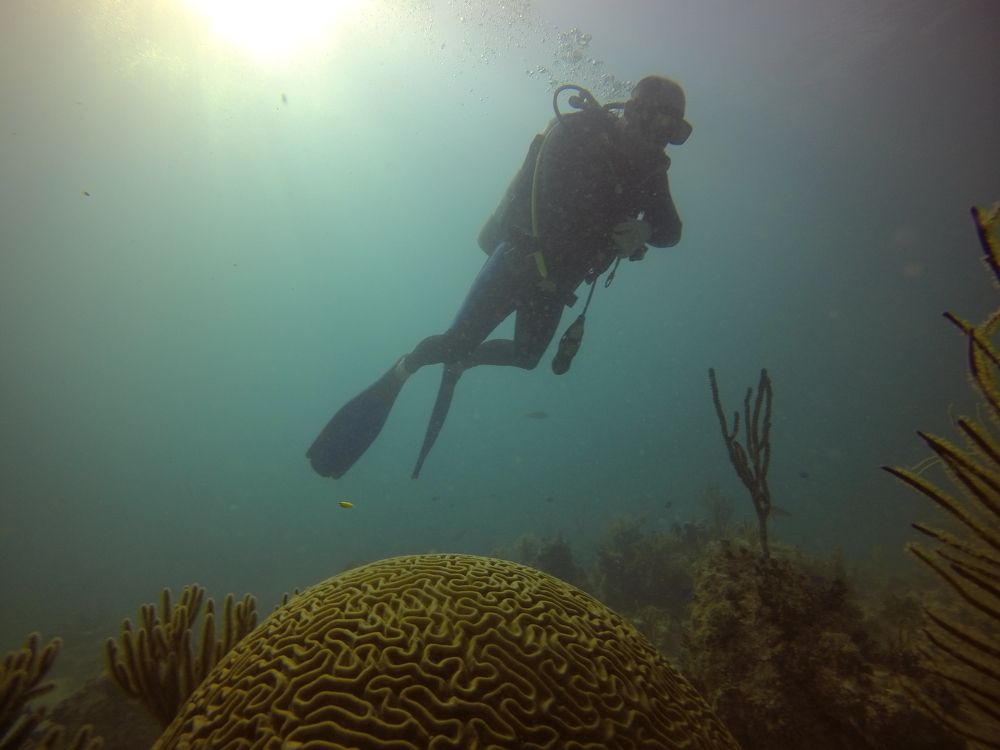 Photo #7304790