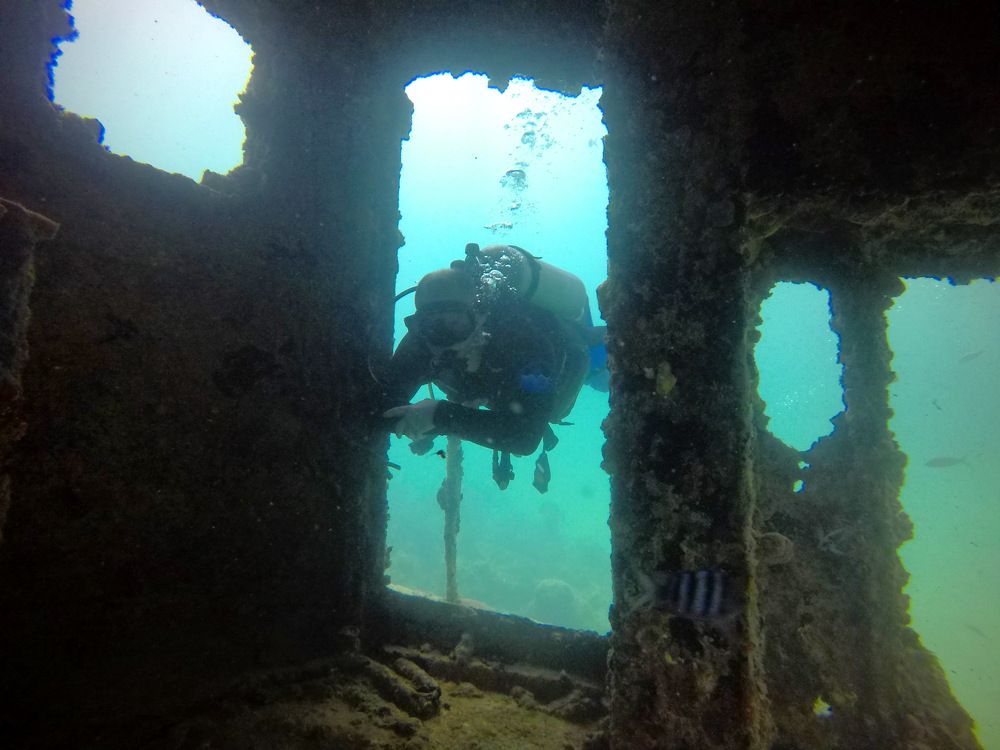 Photo #7304792
