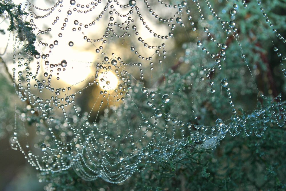 Photograph by Наталия Захарова