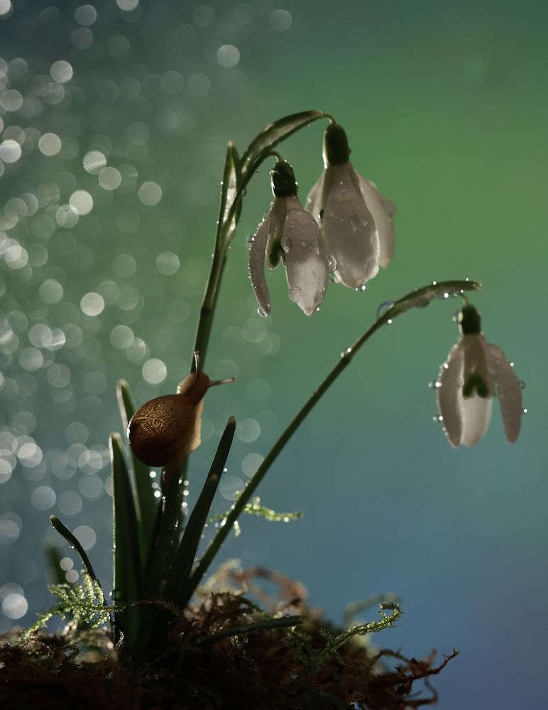 Photograph by Малика Маткарим