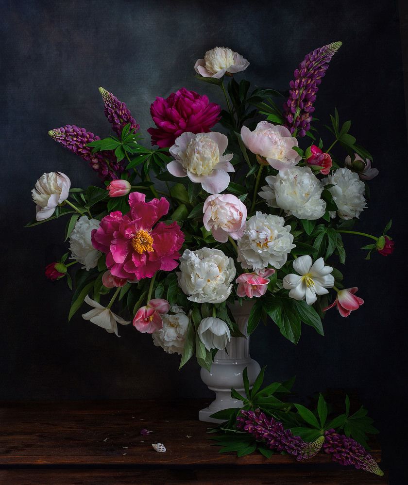 Фотография автора Алина Ланкина