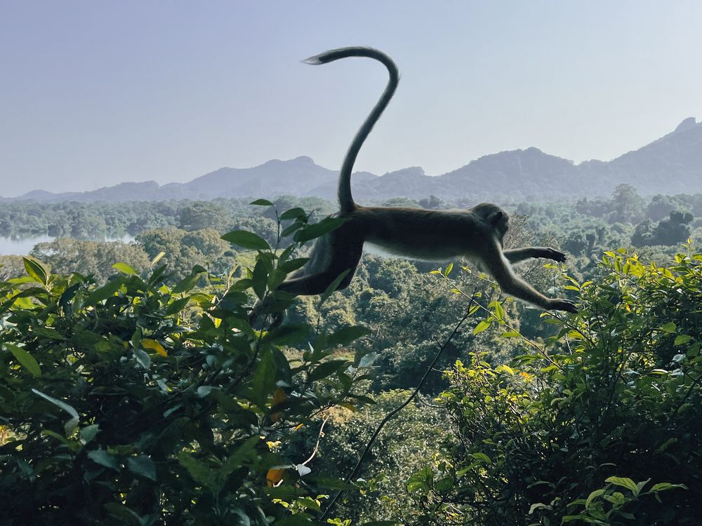 Photograph by Софья Белле