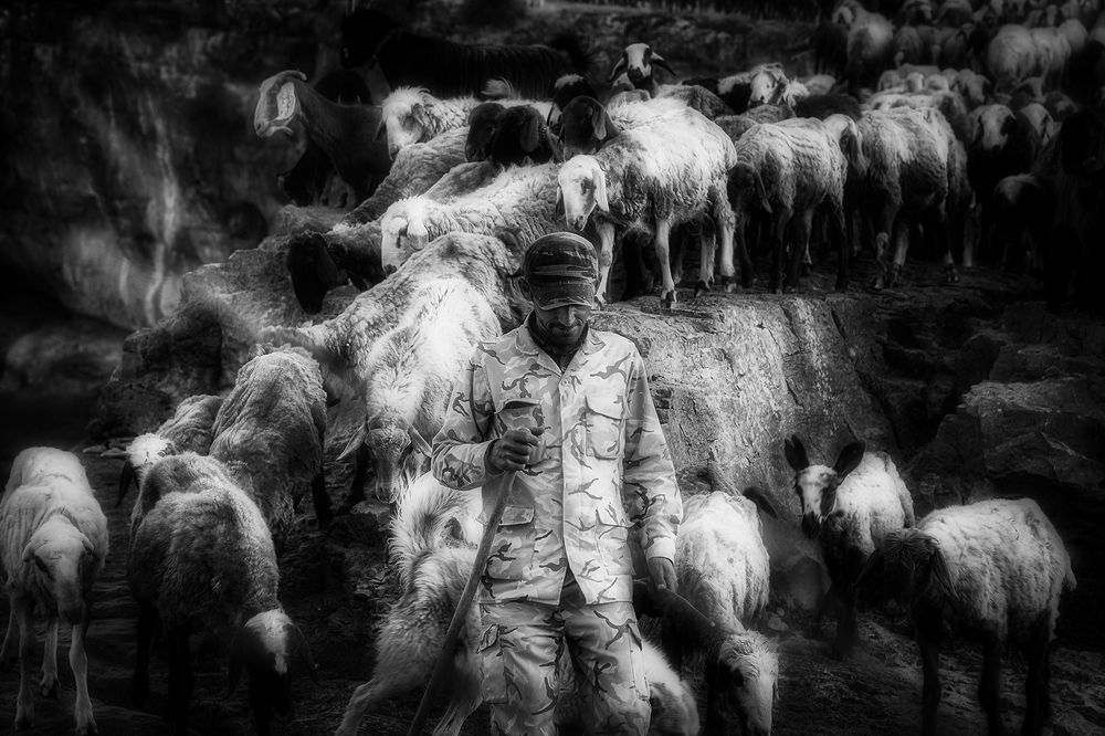 Photograph by Hengameh pirooz