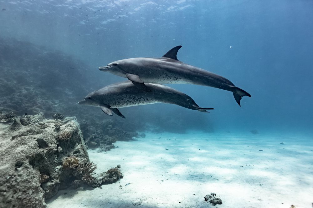 Photograph by Тетяна Тарасенко