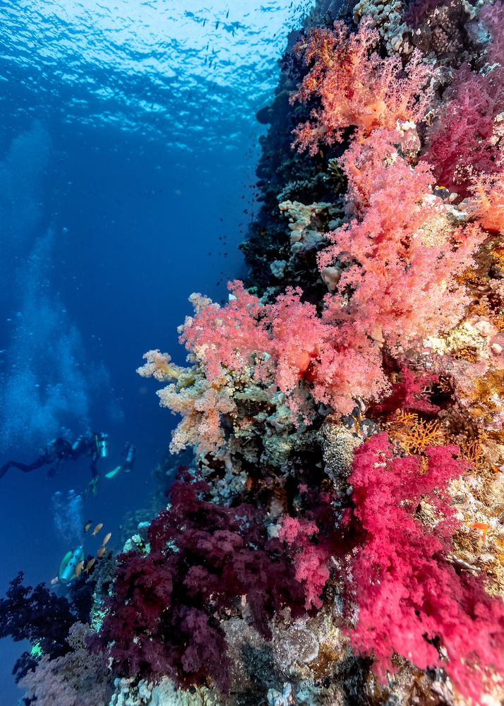 Photograph by Тетяна Тарасенко