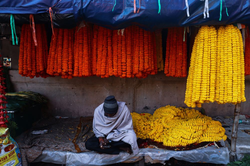 Фотография автора Soumalya Das