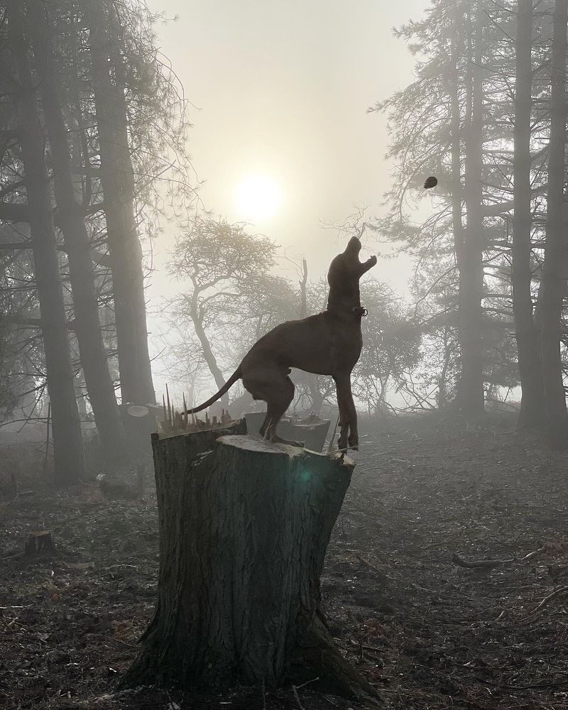 Photograph by Ksenia Bulygina