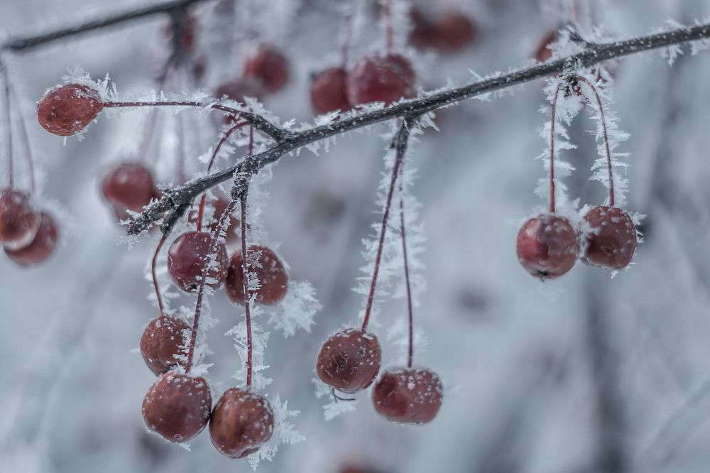 Photograph by Яна Соболева