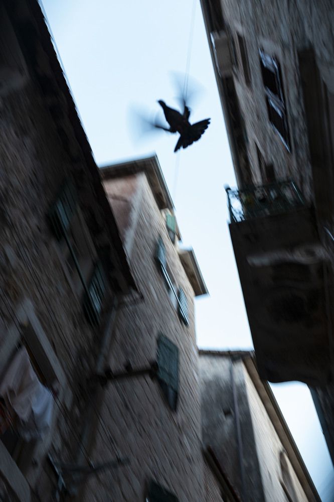 Photograph by ИРЕНА Федорова