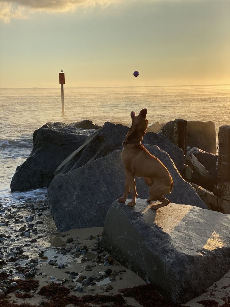 Photograph by Ksenia Bulygina