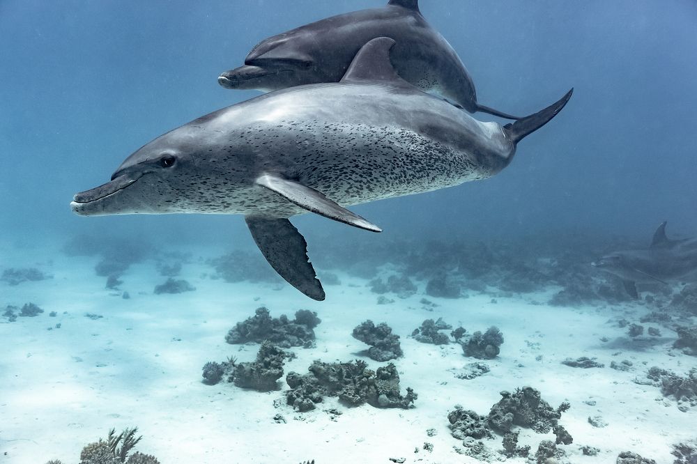 Photograph by Тетяна Тарасенко