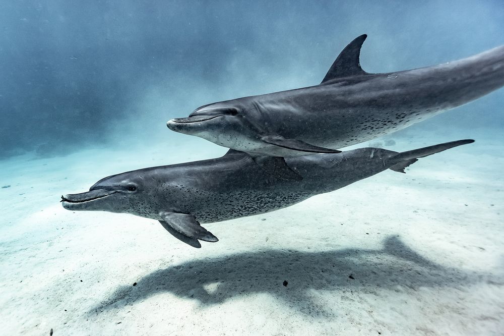 Photograph by Тетяна Тарасенко