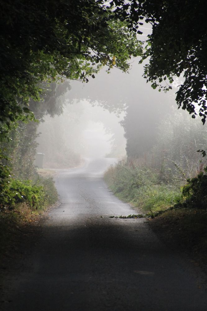 Photograph by Ksenia Bulygina