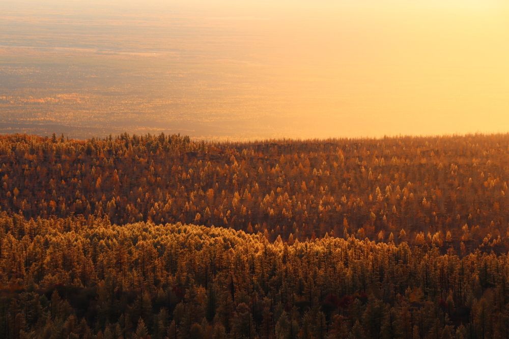 Photograph by Nikolai