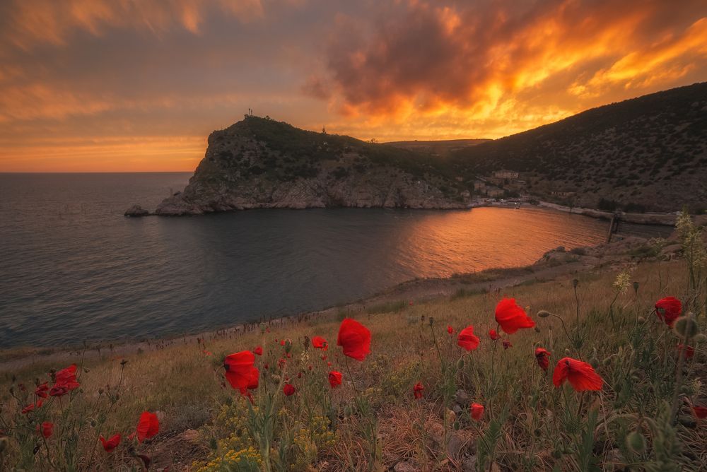 Фотография автора Екатерина Дмитренко