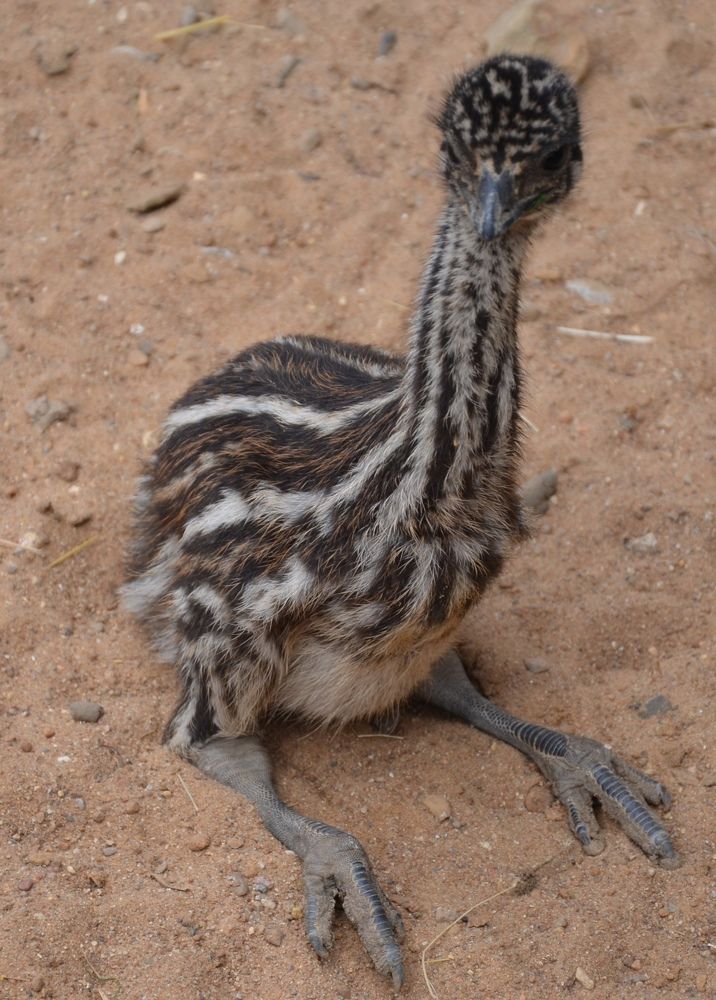 Photograph by Сергей