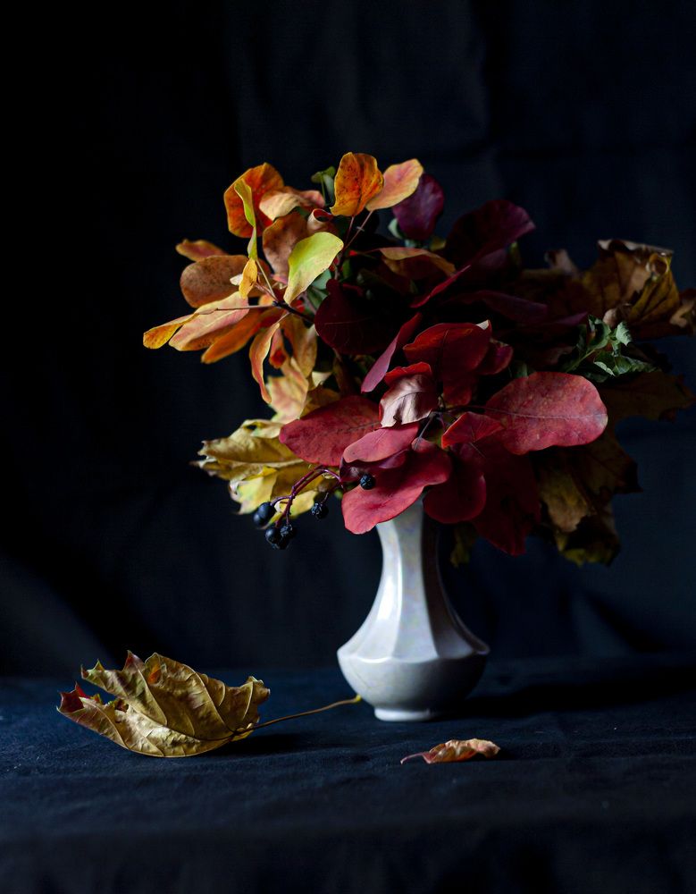 Photograph by Усатый Александр